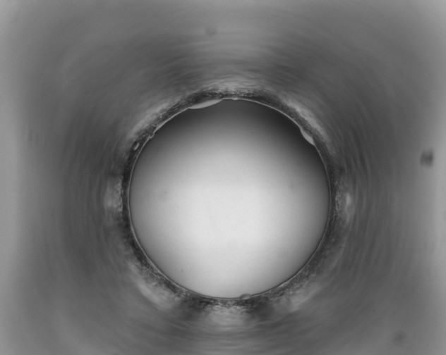 X0000089340403200706221122