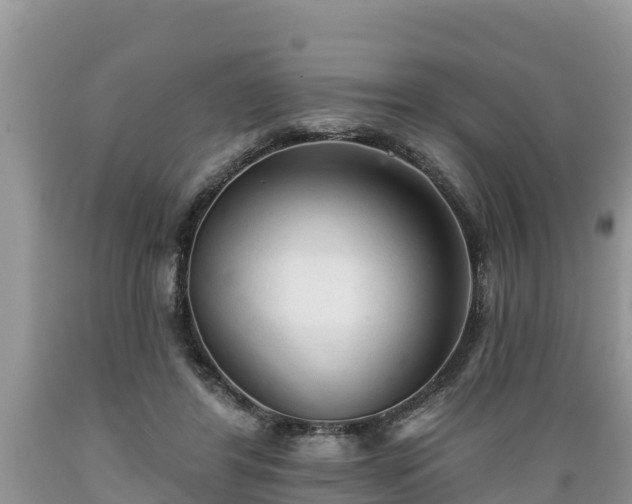 X0000089340404200706221122