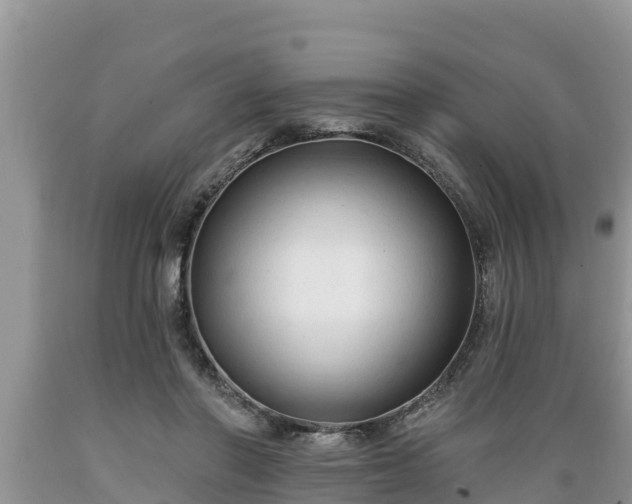 X0000089340406200706221122