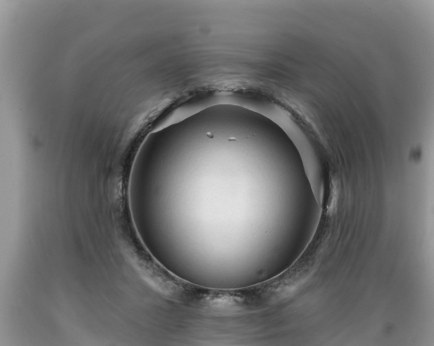 X0000089340407200706221122
