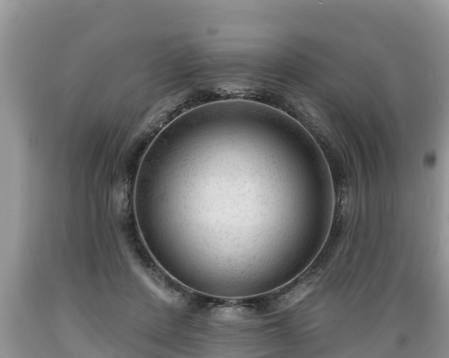 X0000089340408200706221122