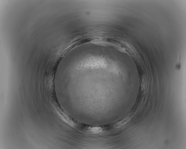 X0000089340409200706221122