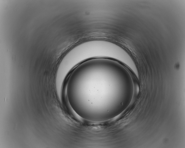 X0000089340411200706221121
