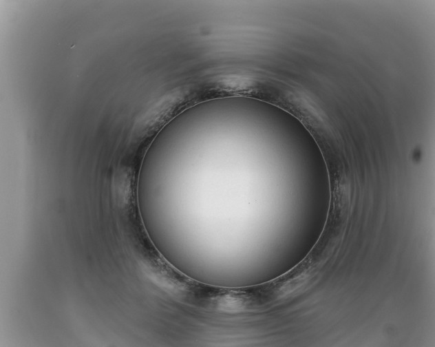 X0000089340412200706221121