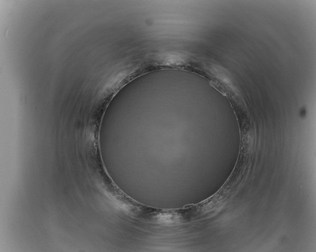 X0000089340415200706221121