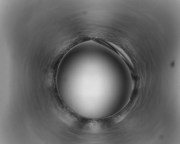 X0000089340416200706221121