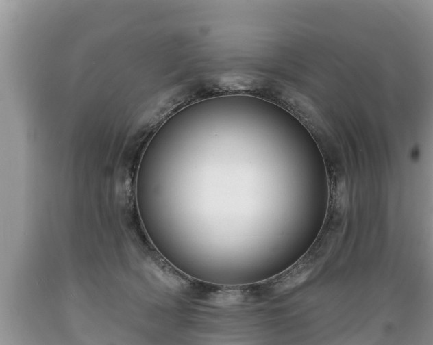 X0000089340418200706221121