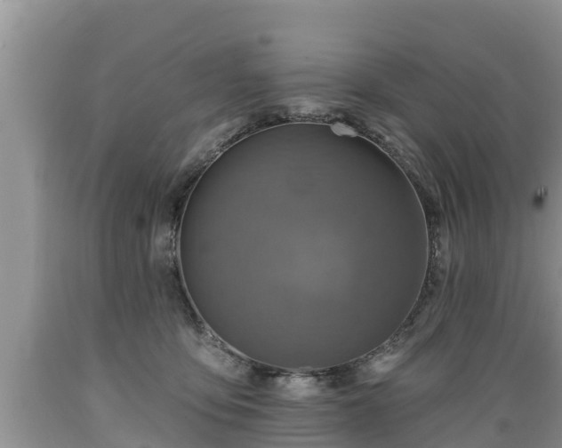 X0000089340419200706221121