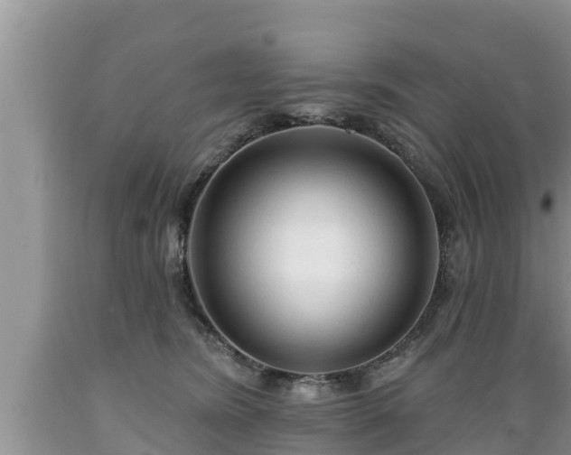 X0000089340420200706221121