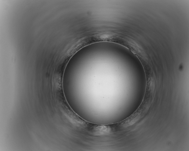X0000089340421200706221121