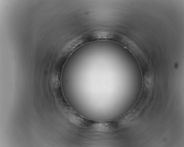 X0000089340422200706221121