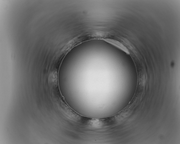 X0000089340425200706221121