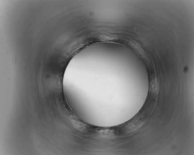 X0000089340426200706221121