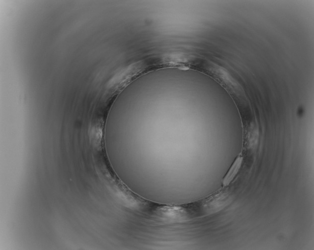 X0000089340427200706221121