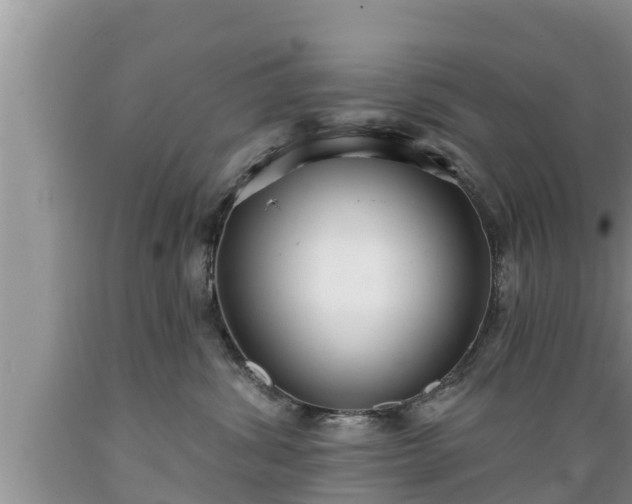 X0000089340428200706221121