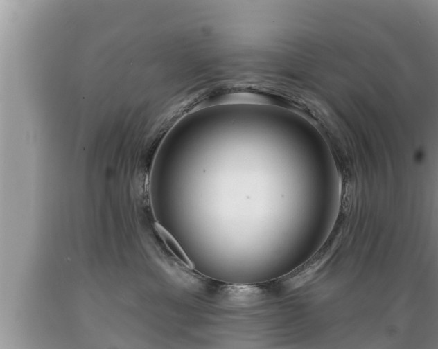X0000089340429200706221121