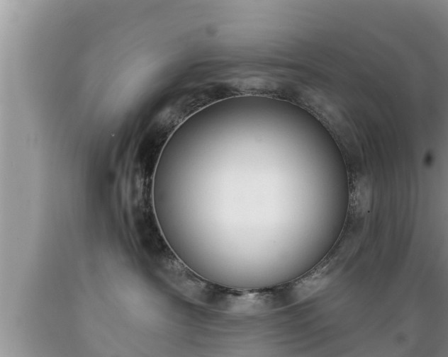 X0000089340430200706221121