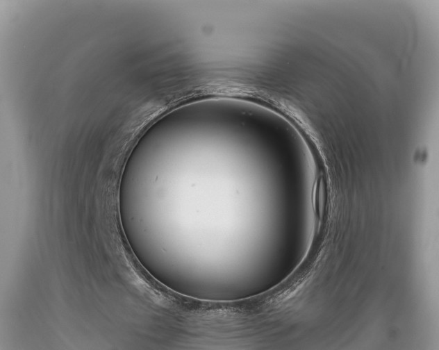 X0000089340433200706221121