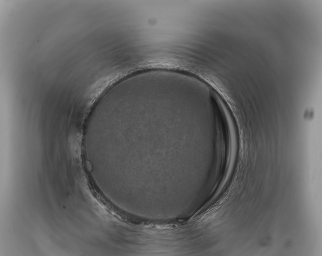 X0000089340434200706221121