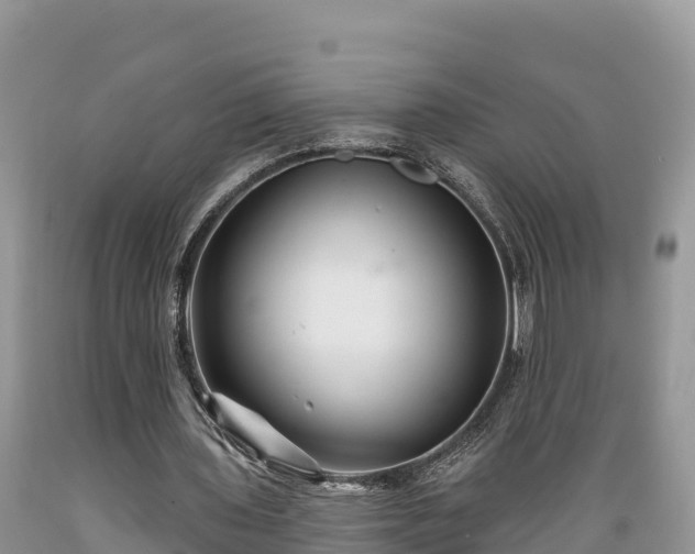 X0000089340435200706221121