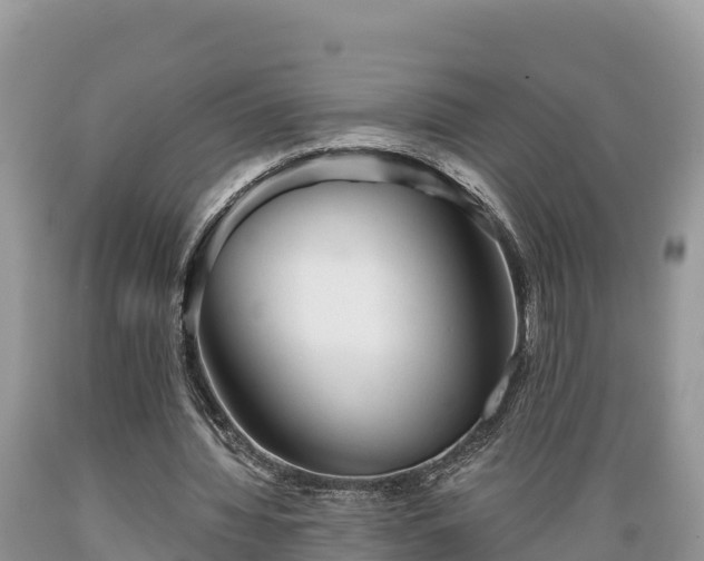 X0000089340436200706221121