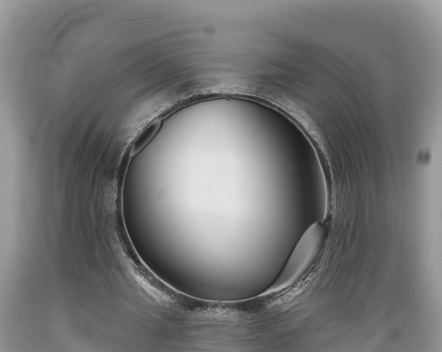 X0000089340437200706221121