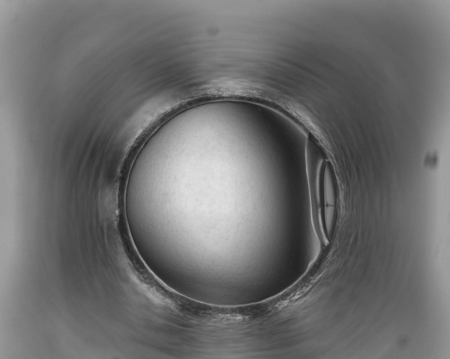 X0000089340438200706221121