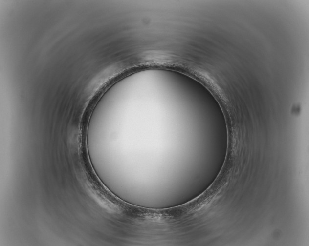 X0000089340439200706221121
