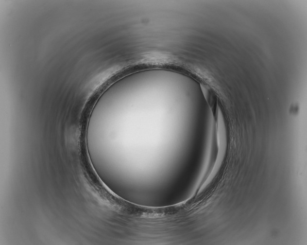 X0000089340440200706221121