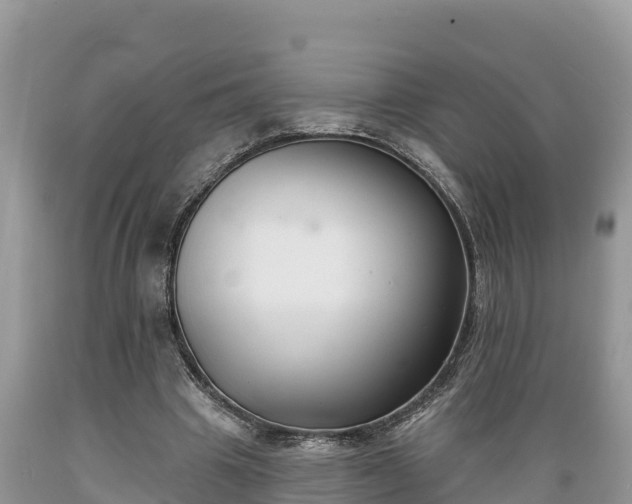 X0000089340441200706221121