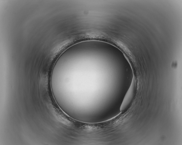 X0000089340442200706221121