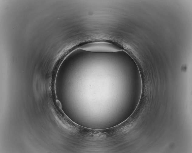 X0000089340443200706221121