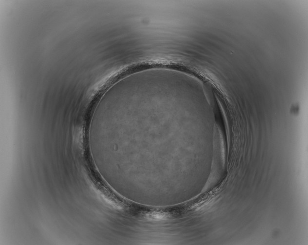 X0000089340444200706221121