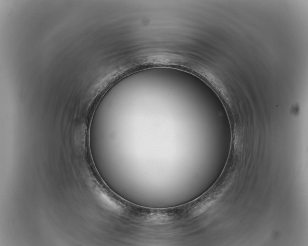 X0000089340445200706221121