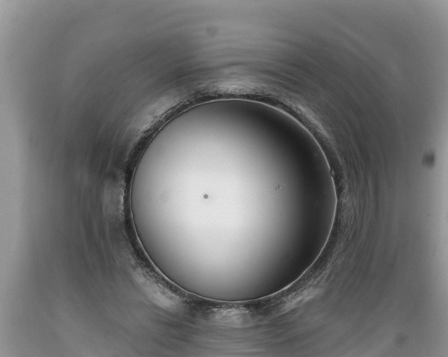 X0000089340446200706221121