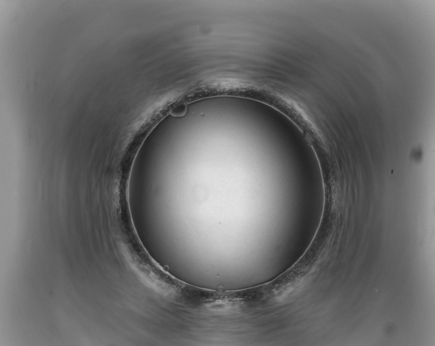 X0000089340447200706221121