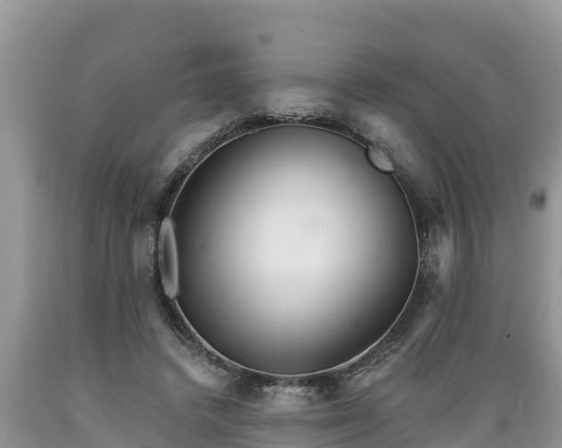 X0000089340448200706221121