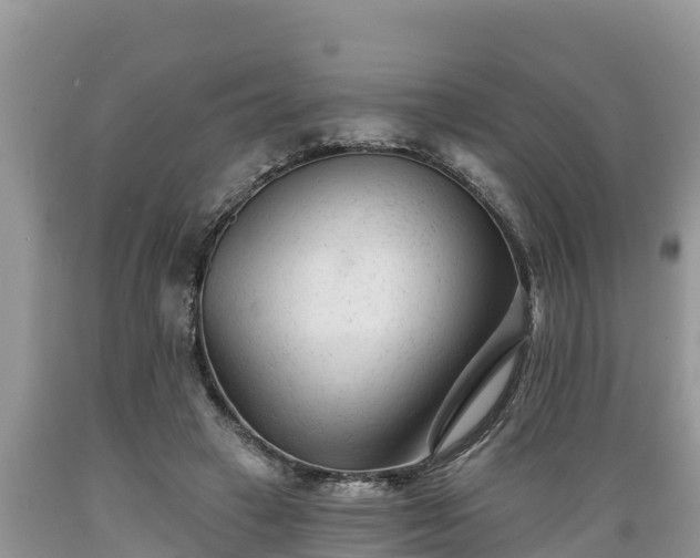X0000089340449200706221121