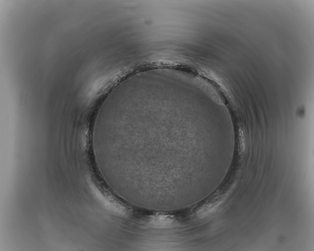 X0000089340451200706221121