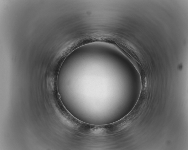 X0000089340452200706221121
