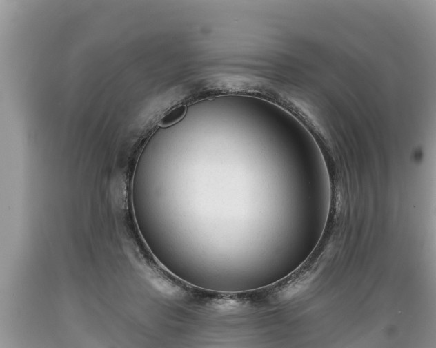 X0000089340453200706221121