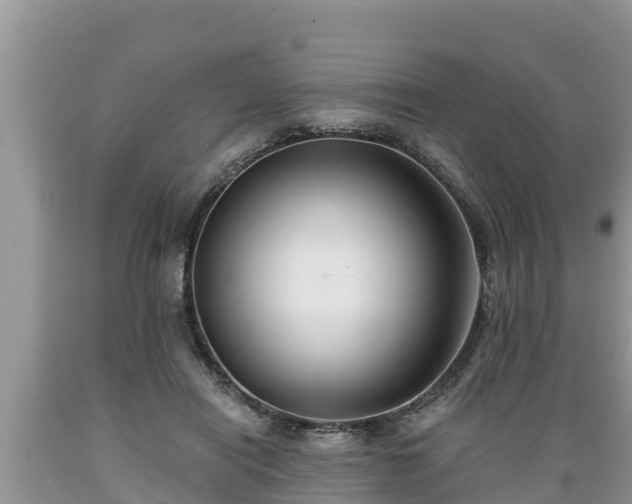 X0000089340454200706221121