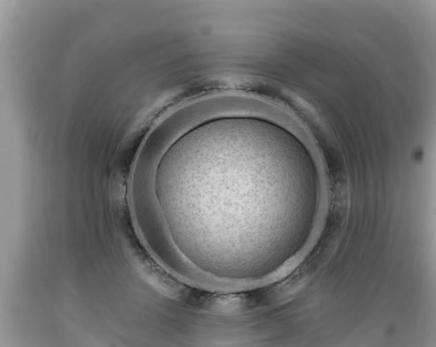 X0000089340456200706221121
