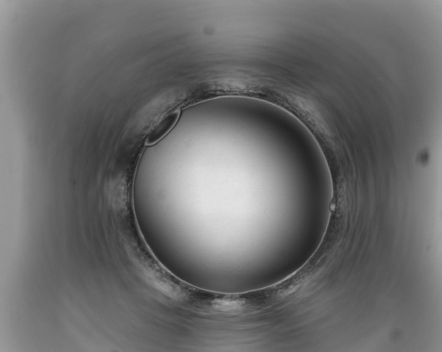 X0000089340457200706221121