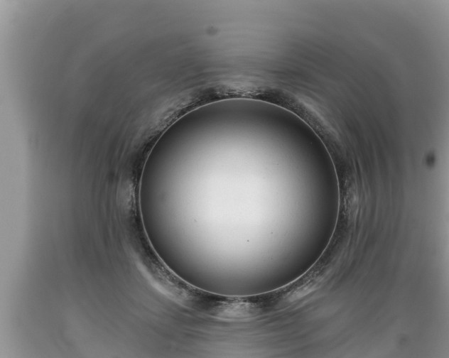 X0000089340459200706221121