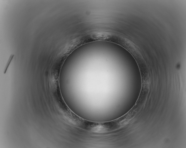 X0000089340460200706221121