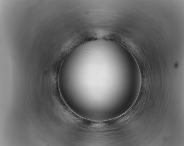X0000089340461200706221121