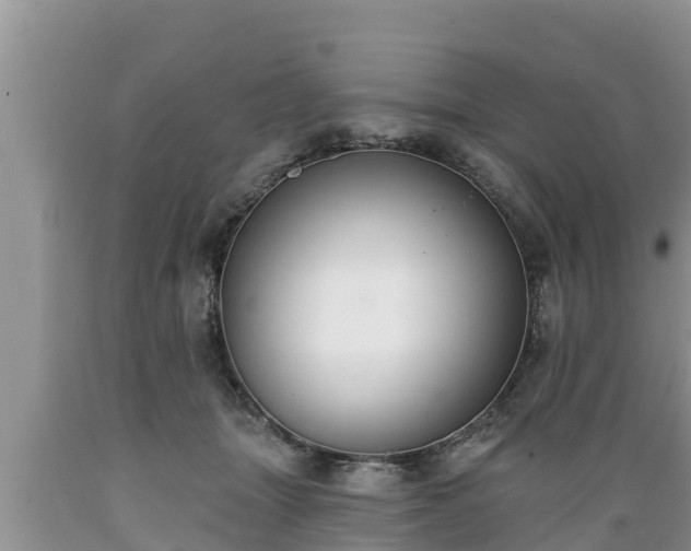 X0000089340463200706221121