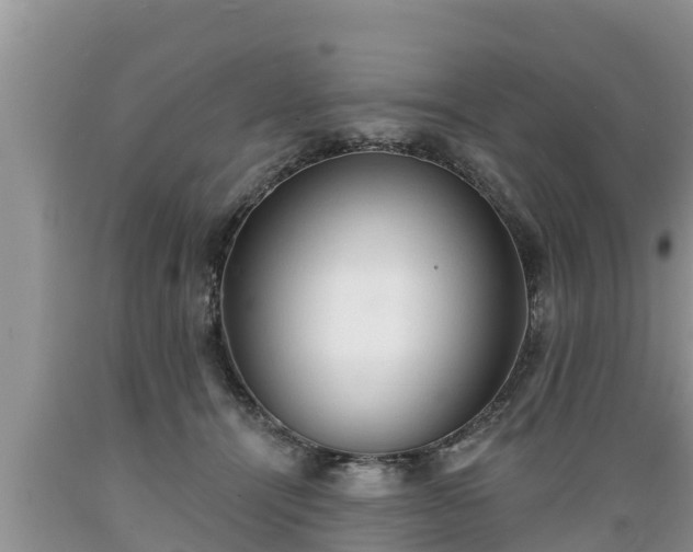 X0000089340464200706221121