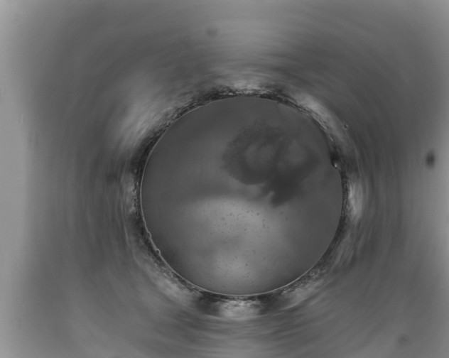 X0000089340465200706221121